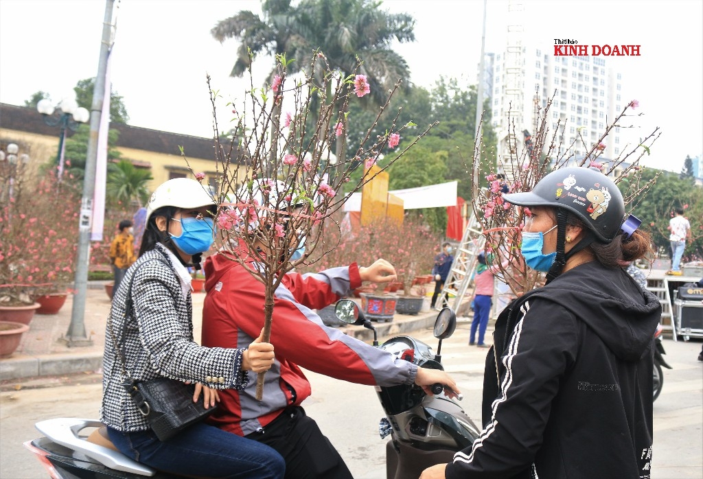 Do dịch Covid-19 nên các giao dịch diễn ra nhanh chóng hơn thường ngày. Chị Hoài, chủ một vườn đào tại Nhật Tân cho biết gia đình chị đã bán được 1/4 vườn. Người Hà Nội thường chơi đào Tết 2 đợt (trước và trong Tết) nên ngoài rằm nhiều cành đào, chậu đào đã rục rịch xuất vườn. Cho đến thời điểm này, thị trường đào được cho là khá ổn, giá bán trung bình từ 500 nghìn đồng đến vài triệu 1 cành tùy theo kích cỡ, dáng đào. Đến thời điểm hiện tại vẫn bán tốt, mong từ giờ đến Tết, dịch có thể kiểm soát chứ nếu giãn cách xã hội thì người trồng đào, buôn bán cây cảnh sẽ rất lo lắng, chị Hoài nói.