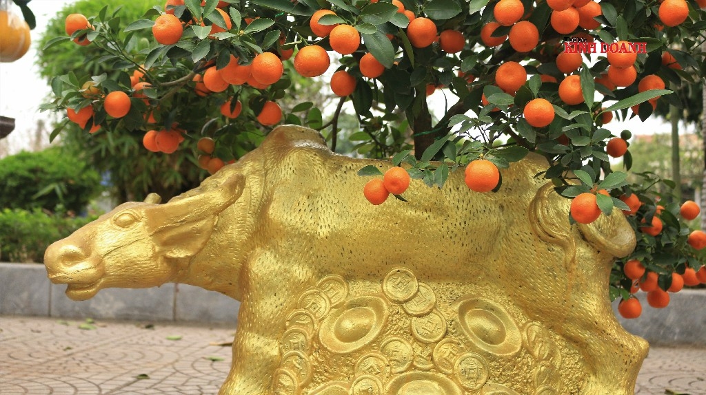 Siêu phẩm quất bonsai năm 2021 là trâu vàng cõng quất cảnh được khách hàng ưa chuộng. Năm Tân Sửu với linh vật là con trâu nên các chậu cảnh cũng thiết kế, bắt trend phù hợp với từng năm. Mỗi chậu có giá trung bình từ 1,5-2 triệu đồng.