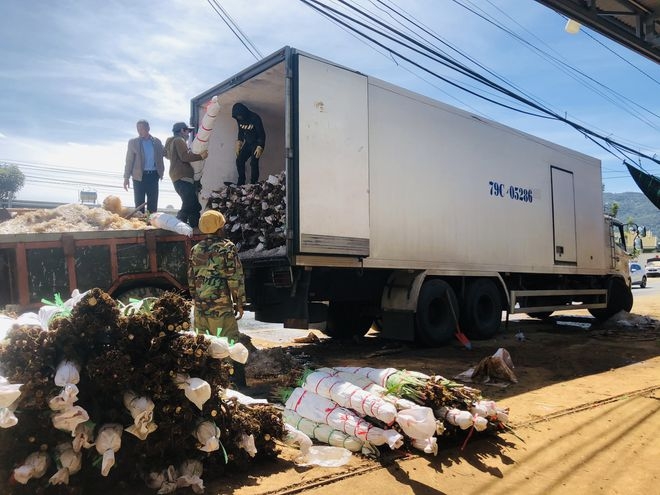 Giải pháp của tỉnh Lâm Đồng là bình ổn giá cước vận tải, không tăng giá cước vận tải hoa trong dịp Tết Nguyên đán Tân Sửu, đẩy mạnh tiêu thụ, giải quyết khó khăn cho các HTX trồng hoa Tết.