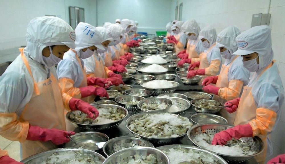 Minh Phú được Mỹ hoàn trả thuế chống bán phá giá đã phải tạm nộp trước đó (Ảnh minh họa: Int)