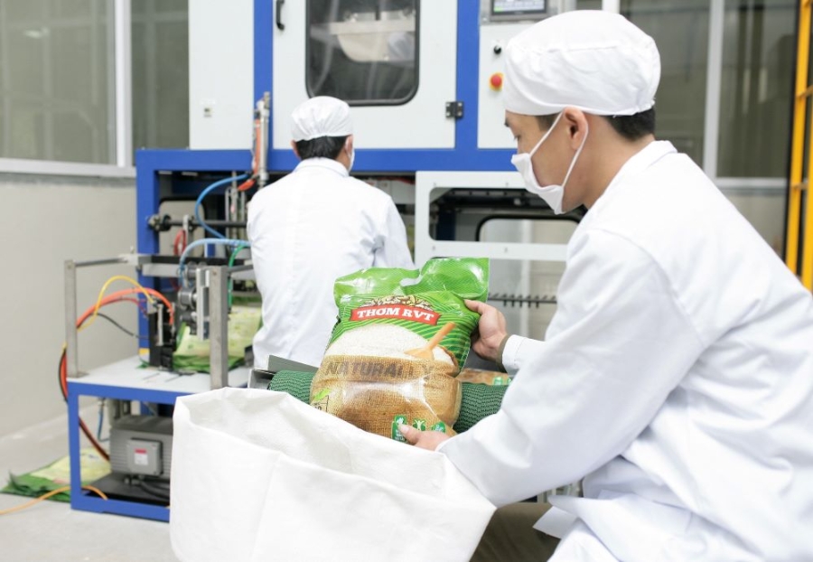 Giá gạo xuất khẩu trong tháng 1 tăng 15,4% so với cùng kỳ năm trước (Ảnh: Int)