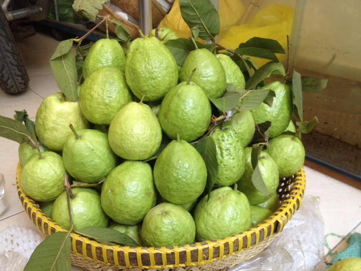 Chất lượng sẽ là chìa khóa để thương hiệu ổi Đức Hòa được nâng cao (Ảnh TL).