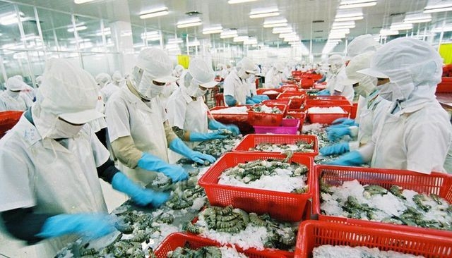 Nhật Bản đứng đầu tiêu thụ thủy sản của Việt Nam trong tháng 1/2021 (Ảnh minh họa/Int)