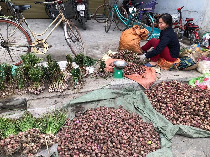 Hiện, tỏi chỉ được người dân tiêu thụ nội tỉnh hoặc đem ra chợ bán với số lượng nhỏ.