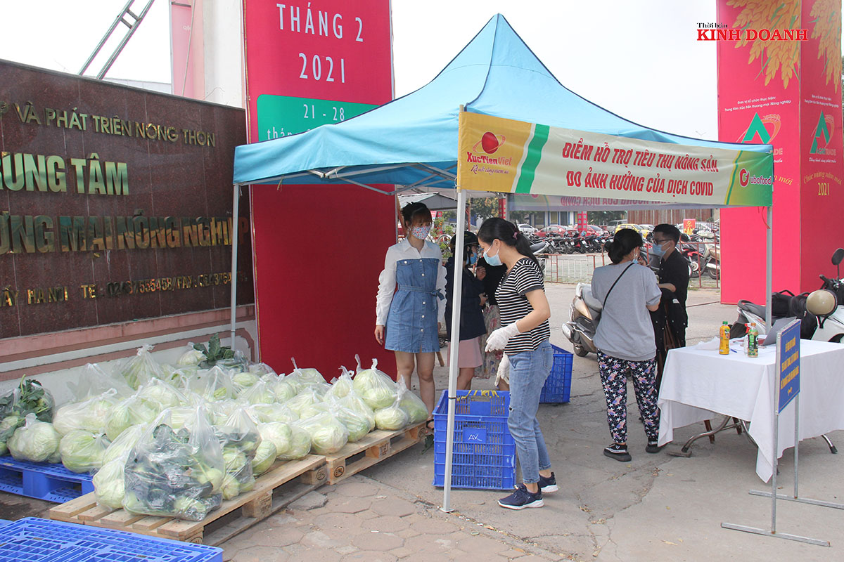 Điểm bán hàng tại số 489, Hoàng Quốc Việt, Cổ Nhuế, Bắc Từ Liêm, Hà Nội do Công ty Xúc tiến Việt tổ chức.