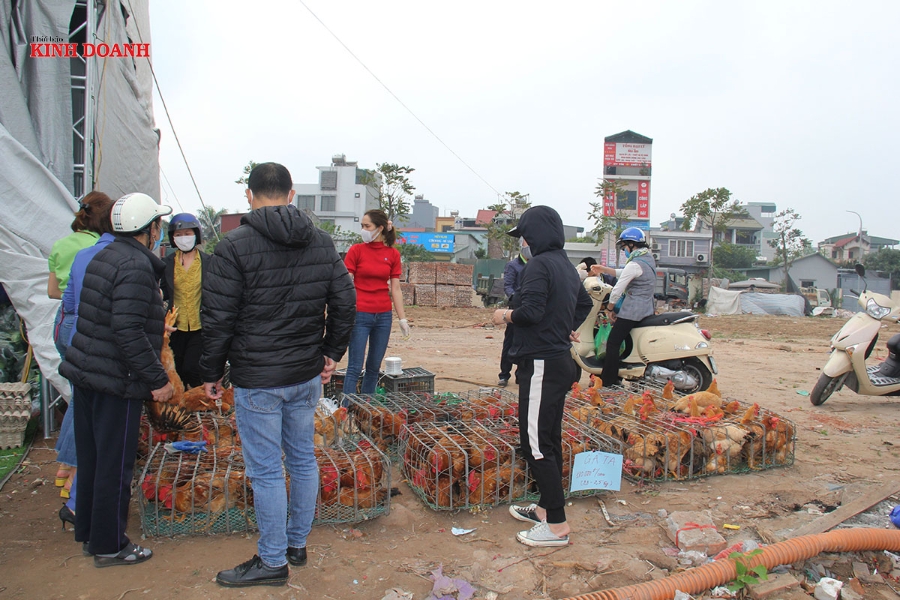 Gà đồi Chí Linh cũng được đông đảo người dân mua ủng hộ.