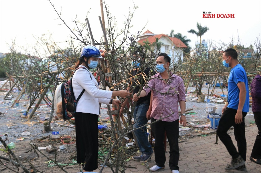 Những cành lê bình dân có giá từ 300 nghìn đồng - 2 triệu đồng. Cá biệt có những cành lê cổ từ vài chục năm tuổi giá khoảng 3-5 triệu đồng/cành tùy vào lượng hoa và dáng thế mỗi cành.