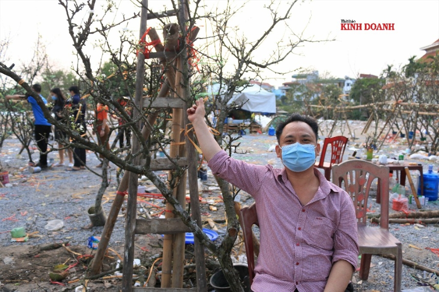 Một tiểu thương cho biết mỗi ngày gia đình anh bán được 300 cành lê, cao điểm ngày cuối tuần có thể lên tới 500 cành. Do ảnh hưởng của dịch Covid-19, người dân thắt chặt chi tiêu nên các cành nhỏ, giá dưới 1 triệu đồng đắt hàng hơn các loại hàng độc, cổ thụ.