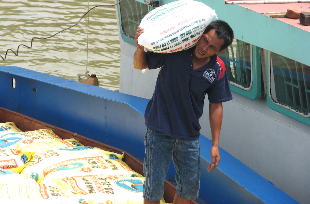 Giá phân bón tăng cao đang là gánh nặng đối với nông dân