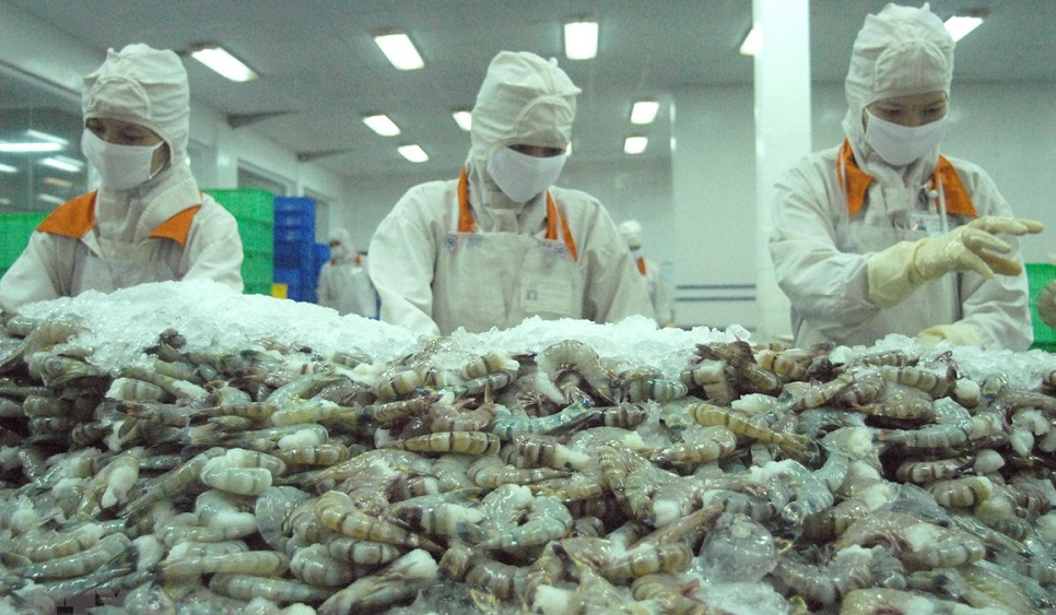 Tôm là một trong những mặt hàng có chuyển biến tích cực về kim ngạch xuất khẩu sang EU sau khi EVFTA được thực thi (Ảnh: Int)
