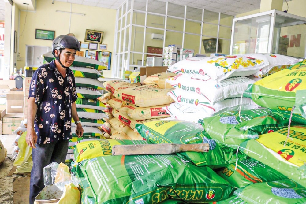 Giá phân bón liên tục tăng trong những tháng gần đây.