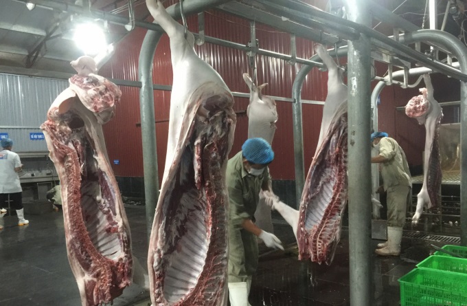Chú trọng chế biến theo hướng hiện đại giúp hoàn thiện chuỗi giá trị thịt lợn sạch.