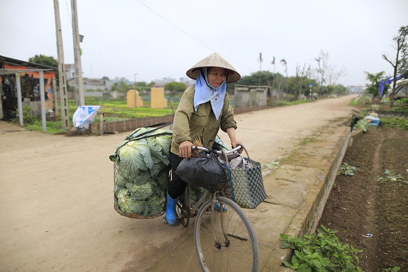 ILO cho rằng, phụ nữ làm việc nhiều giờ hơn bình thường trong nửa cuối năm 2020 là để bù đắp cho các khoản thu nhập bị mất trong quý II do ảnh hưởng của COVID - 19.