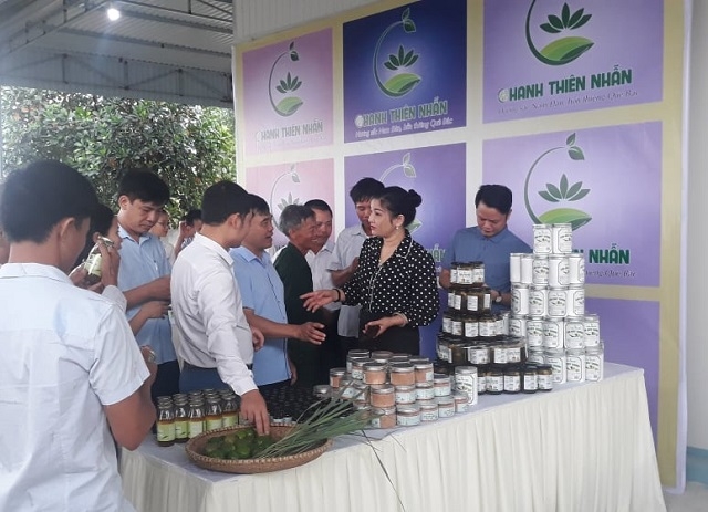 Các sản phẩm chế biến từ cây chanh nhận được sự quan tâm của khách hàng.