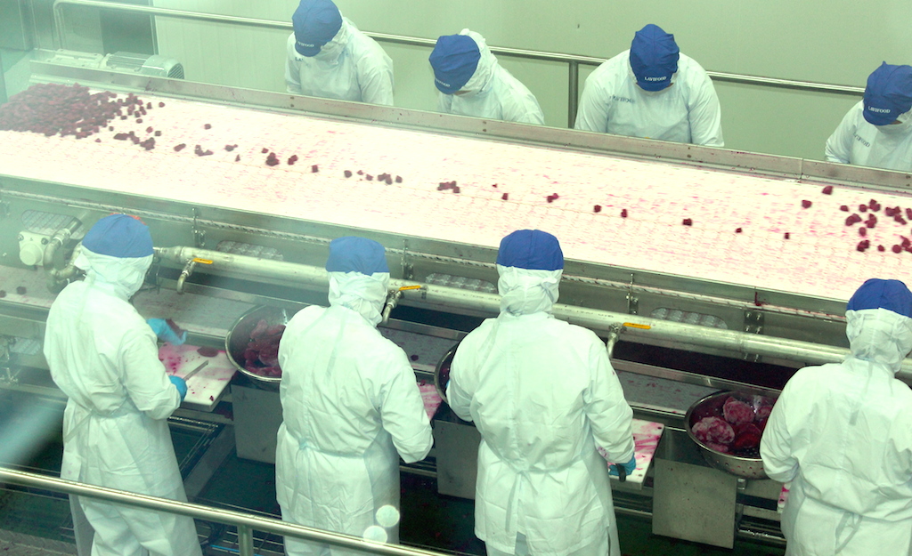 Đầu tư chế biến nông thuỷ sản được kỳ vọng có nhiều khởi sắc trong năm nay.