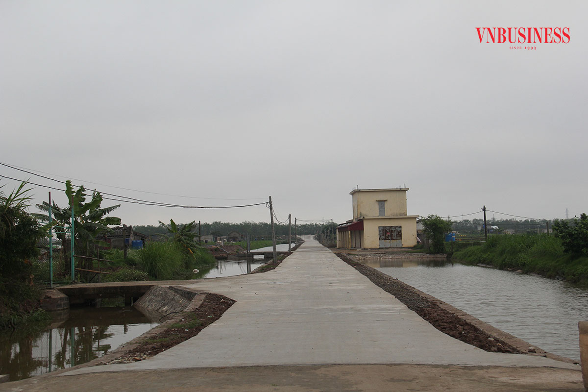 Việc UBND tỉnh Nam Định đầu tư mở rộng đường vào xóm 15 đã mở ra cơ hội cho HTX Xuân Hòa phát triển bền vững.