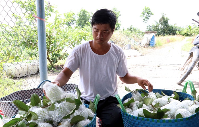 Liên kết với doanh nghiệp giúp đầu ra của sản phẩm rộng mở hơn.