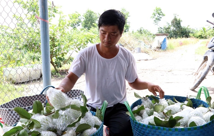 Liên kết với doanh nghiệp giúp đầu ra của sản phẩm rộng mở hơn.