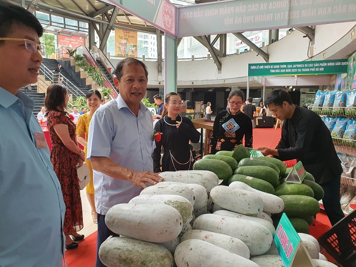 Bí xanh Bắc Kạn đã tiếp cận được người tiêu dùng Hà Nội thông qua việc tham gia hội chợ của các HTX, THT.