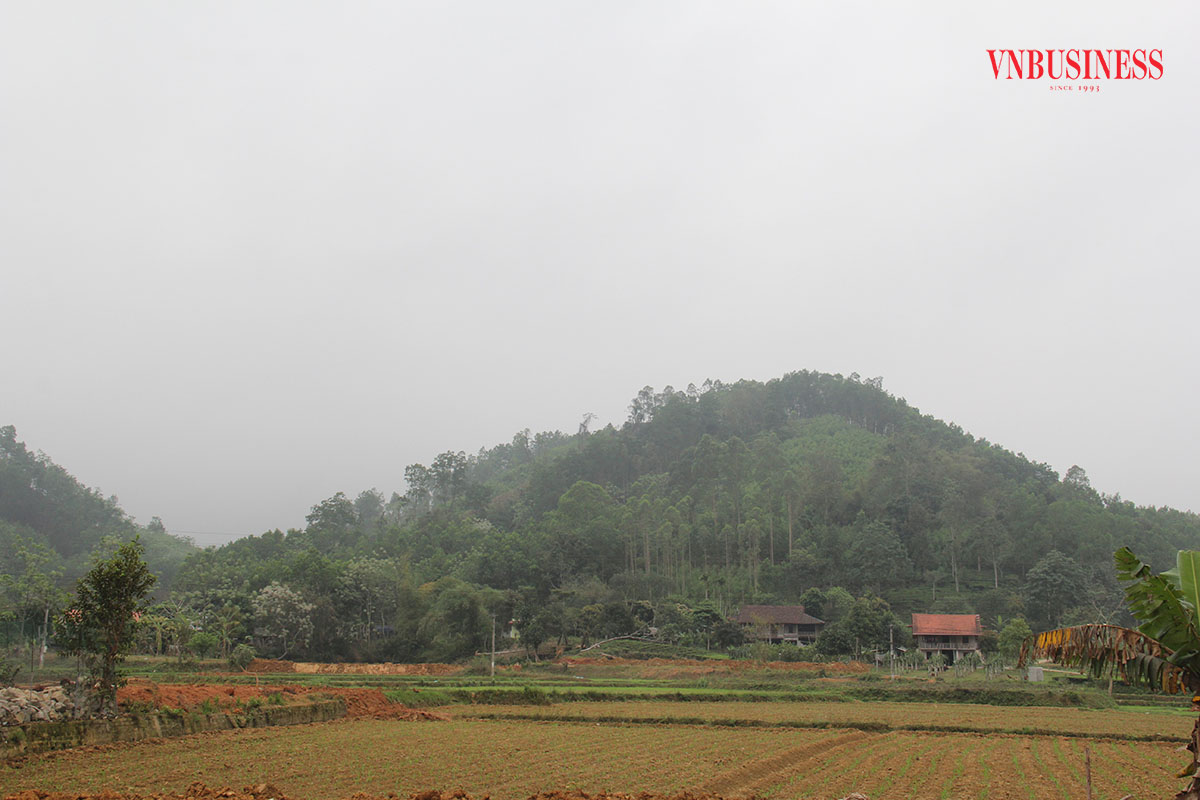 Chủ trương giao đất, giao rừng cho các HTX trên địa bàn xã Bình Long, huyện Võ Nhai quản lý đã từng bước phủ xanh diện tích đồi núi trọc.