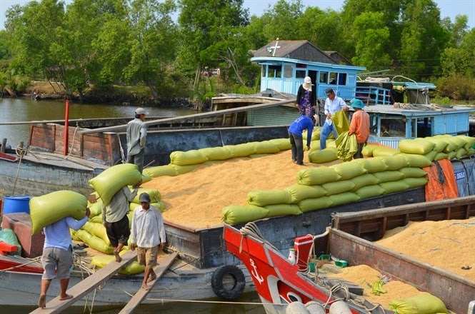 Bảo đảm chất lượng là cách thu hút doanh nghiệp bao tiêu sản phẩm cho người nông dân.