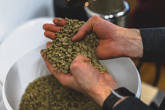 Cà phê xanh phải trải qua quá trình phân loại hạt theo kích cỡ để bảo đảm cho công đoạn rang sấy về sau.