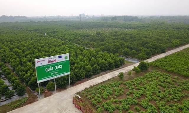 Mục tiêu đến năm 2025 thuốc dược liệu tăng thêm ít nhất 10% so với năm 2020.