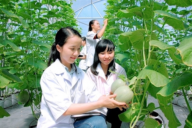 Ngành nông nghiệp còn thiếu nhiều nhân lực đã qua đào tạo.