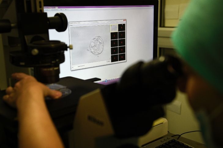 Các nhà khoa học đã tạo ra các cấu trúc phôi thai người ở giai đoạn đầu có thể giúp vén bức màn hộp đen về các giai đoạn phát triển ban đầu của con người.