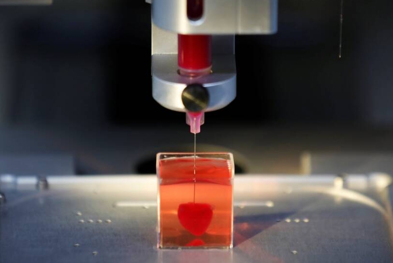 Lần đầu tiên, các nhà khoa học của Đại học Tel Aviv, Israel đã in 3D một trái tim bằng mô người. Trái tim được thiết kế từ các tế bào và vật liệu sinh học của một bệnh nhân. Các nhà khoa học cho đến nay chỉ thành công trong việc in mô, không có mạch máu. Đây là lần đầu tiên các nhà khoa học thiết kế và in thành công toàn bộ một trái tim bao gồm tất cả các tế bào, mạch máu, tâm thất và các khoang. Bước tiếp theo là dạy trái tim hoạt động giống như trái tim con người. Những ca cấy ghép đầu tiên sẽ được thực hiện trên động vật, sau đó sẽ được áp dụng cho con người.