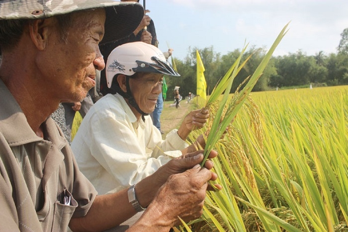 Cán bộ và người lao động lớn tuổi đang là một rào cản đến khả năng tiếp nhận khoa học - công nghệ, trình độ quản lý tiên tiến trong HTX.