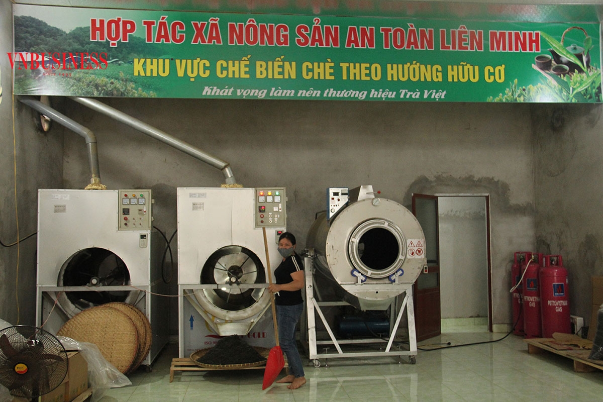 Nhờ sự hỗ trợ của các cấp chính quyền, sự nỗ lực vươn lên của các HTX, KTHT, HTX trên địa bàn huyện Võ Nhai ngày càng phát triển.