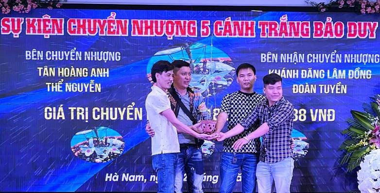 Các thương vụ mua, bán lan đột biến trên mạng đều ghi rõ tên, số tiền và hình ảnh người mua vì nhiều mục đích khác nhau (Ảnh vụ giao dịch lan gần 19 tỷ đồng tại Hà Nam).