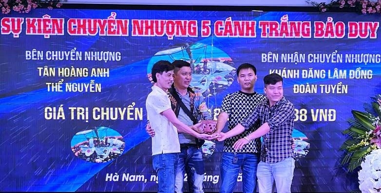 Các thương vụ mua, bán lan đột biến trên mạng đều ghi rõ tên, số tiền và hình ảnh người mua vì nhiều mục đích khác nhau (Ảnh vụ giao dịch lan gần 19 tỷ đồng tại Hà Nam).