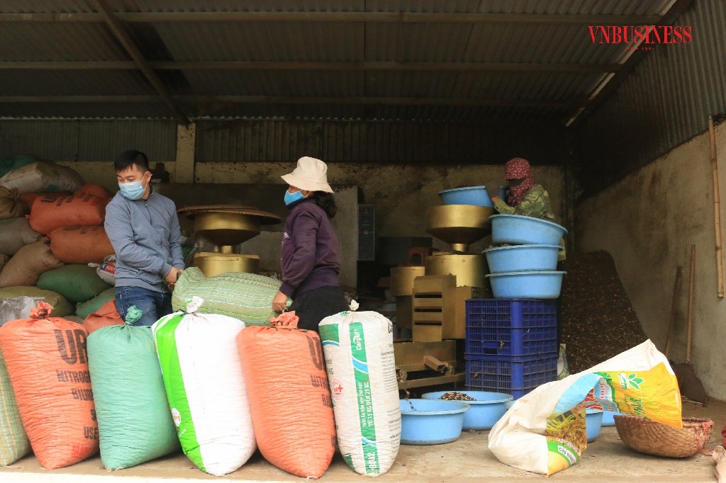 Các công đoạn tách vỏ được thực hiện hoàn toàn bằng máy.