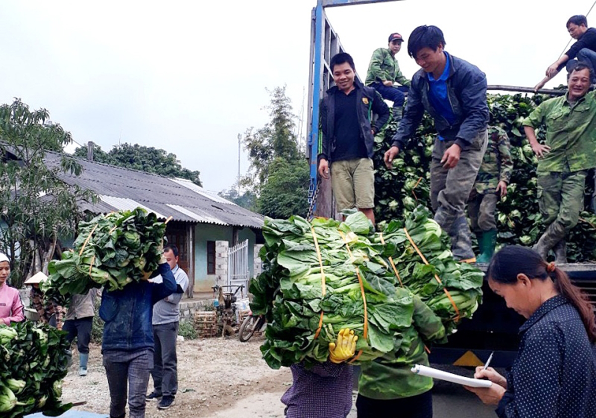 Xã sẽ nhân rộng mô hình nhưng đảm bảo theo quy hoạch (Ảnh TL).