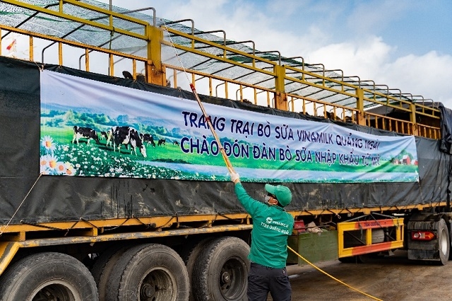 Các công tác khử khuẩn và sát trùng được Vinamilk thực hiện nghiêm ngặt trong toàn bộ quá trình tiếp nhận bò.