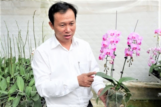 Nếu cây lan do người dân tự trồng và bán thì không phải nộp thuế GTGT. (Ảnh minh hoạ: Int)