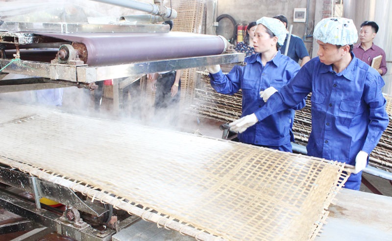 Tráng bánh đa bằng máy giúp nâng cao năng suất và bảo đảm chất lượng sản phẩm.