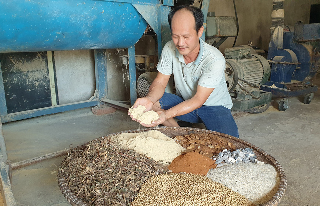 Người dân xã Trực Thái sử dụng cám pha thảo dược thân thiện môi trường để chăn nuôi (Ảnh TL).