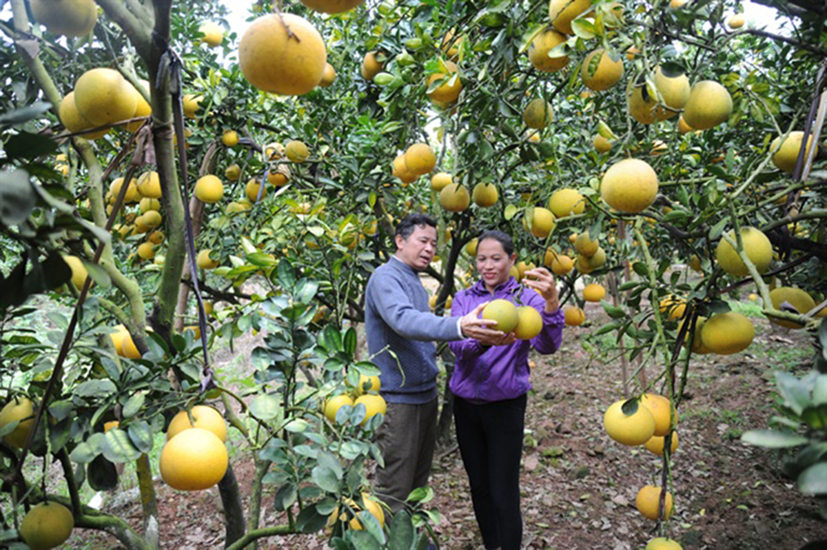 Các chính sách hỗ trợ kịp thời là điểm tựa giúp người dân tộc thiểu số vươn lên.