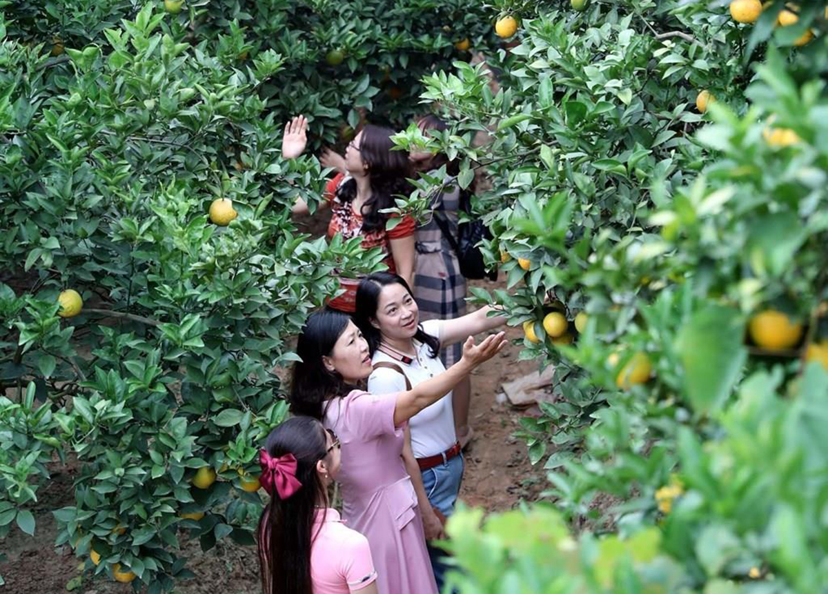 Huyện sẽ cần thêm nhiều nguồn lực để phát huy tiềm năng du lịch.