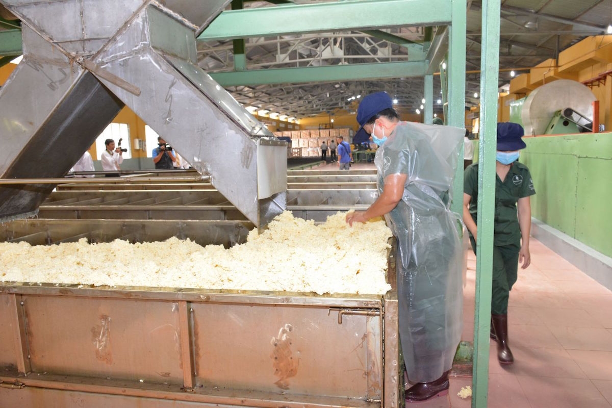 Xuất khẩu cao su sang Trung Quốc chiếm 99,45% tổng lượng hỗn hợp cao su tự nhiên và cao su tổng hợp xuất khẩu của cả nước.