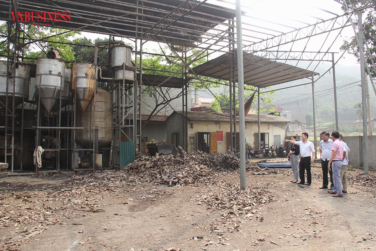 HTX 6/12 đang lắp đặt nâng công suất chiết xuất tinh dầu quế từ 25 tấn lên 40 tấn nguyên liệu/ngày.