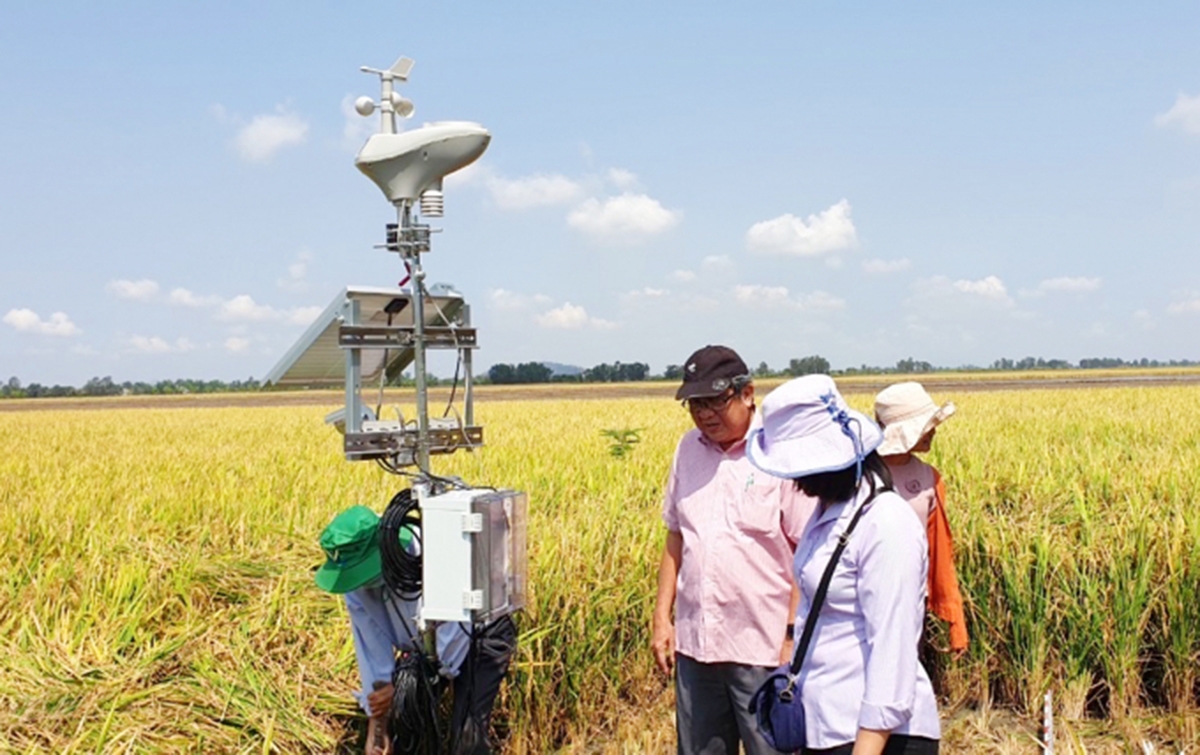 Sản xuất nông nghiệp ở Cần Thơ đang chuyển biến theo hướng hiện đại (Ảnh Tl).