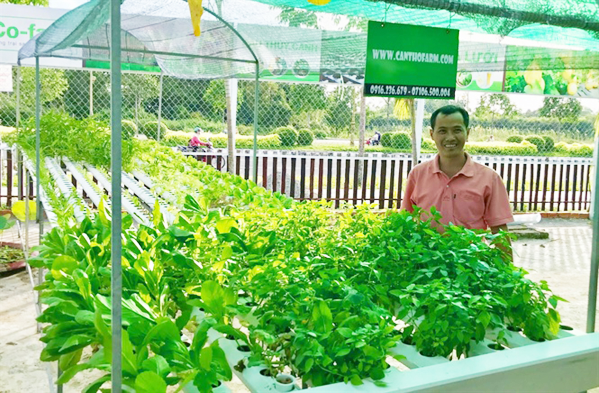 Sản xuất hiện đại là yêu cầu tất yếu để nâng cao hiệu quả bền vững (Ảnh Tl).