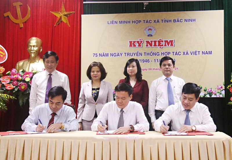 Lãnh đạo Tỉnh và Liên minh minh HTX Việt Nam chứng kiến lễ Ký kết phối hợp tuyên truyền về phát triển kinh tế tập thể, HTX.