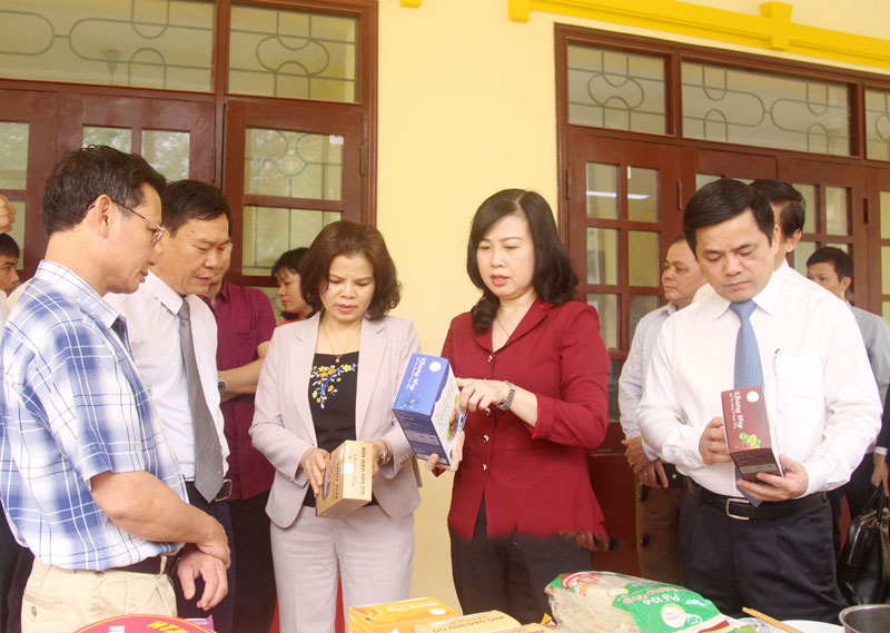 Lãnh đạo tỉnh và Liên minh HTX Việt Nam thăm gian hàng của các HTX trưng bày tại Lễ kỷ niệm Ngày HTX Việt Nam.