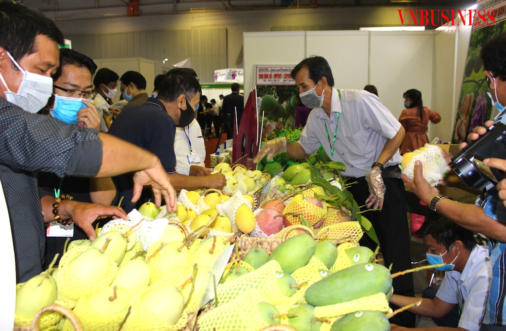 XK xoài của Việt Nam cần nâng cao năng lực để tăng tỷ trọng trong tổng kim ngạch XK trái cây.