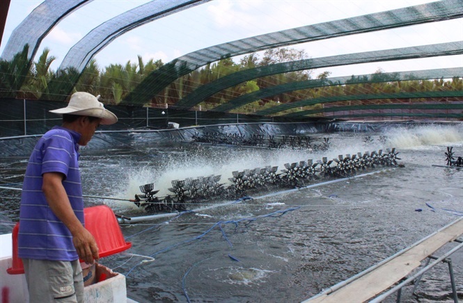 Khó khăn về đất và vốn khiến HTX khó tiếp cận và mở rộng mô hình theo hướng công nghệ cao.